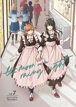 The Moon On A Rainy Night 7 cover