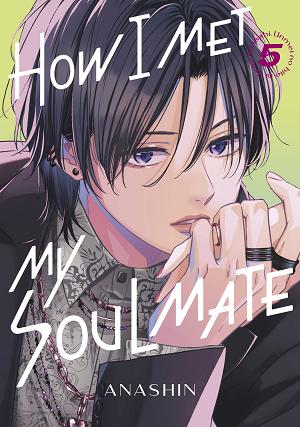 How I Met My Soulmate 5 cover