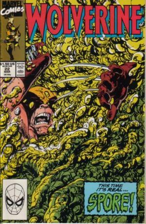 Wolverine #22  cover