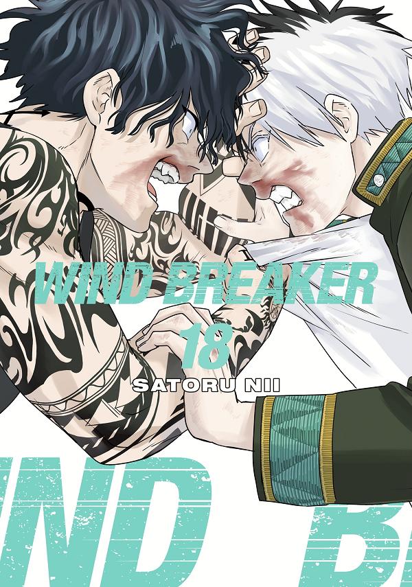 Wind Breaker 18