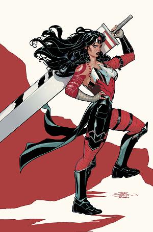Absolute Wonder Woman #14 CVR C CVR C TERRY DODSON CARD STOCK cover