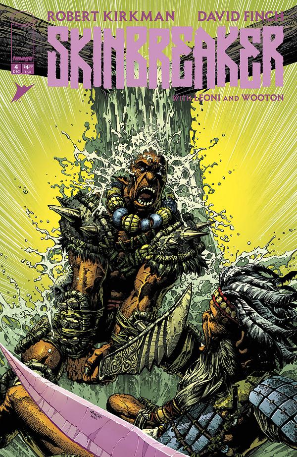 Skinbreaker #4 CVR A DAVID FINCH & ANNALISA LEONI cover
