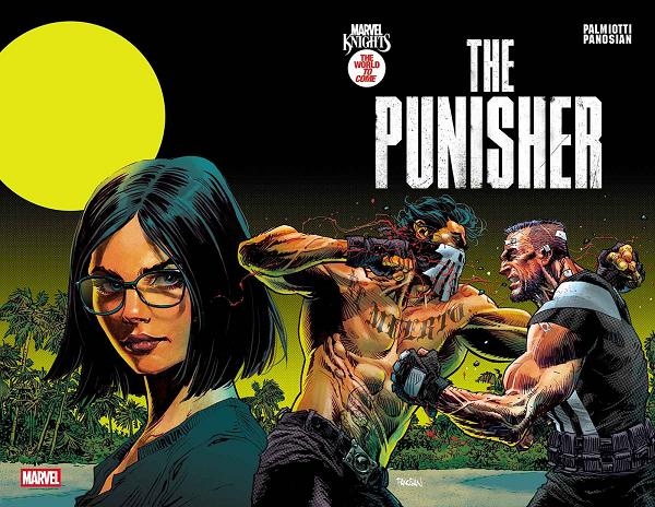 Marvel Knights: Punisher #2 cover