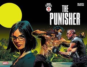 Marvel Knights: Punisher #2 cover