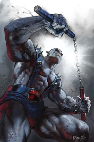Thundercats #23 CVR L CVR L INC 1:15 LUCIO PARRILLO VIRGIN cover