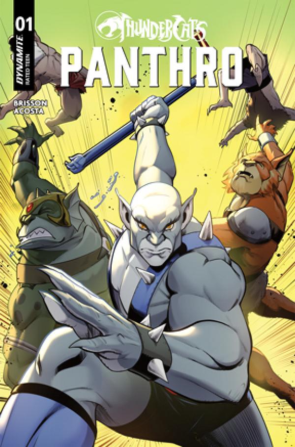 Thundercats Panthro #1 CVR C CVR C ROBERT QUINN cover