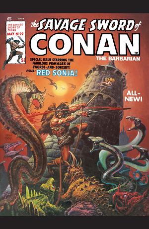 The Savage Sword Of Conan #29  cover