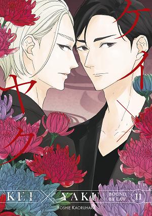Kei X Yaku: Bound By Law 11 cover