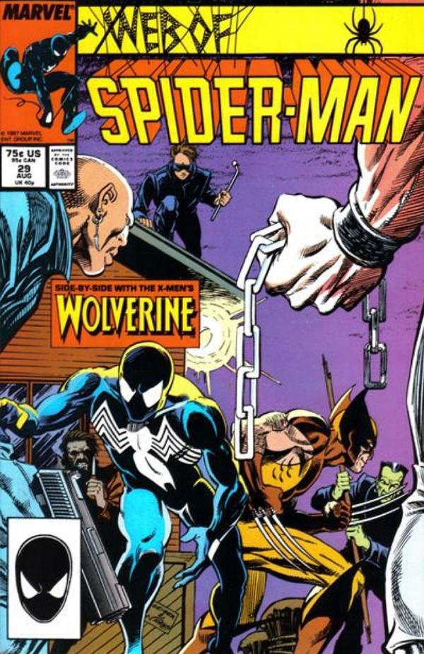 Web Of Spider-Man #29  cover