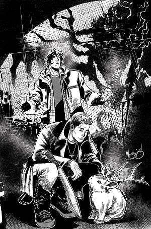 Supernatural #5 CVR L CVR L INC 1:5 EDER MESSIAS LINE ART VIRGIN cover