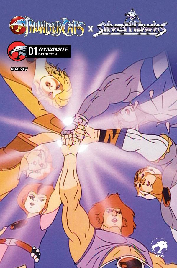 Thundercats X Silverhawks #1 variant cover by Animation Art