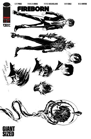 Fireborn #1 CVR F CVR F INC 1:15 PATRICK MULHOLLAND DESIGN cover