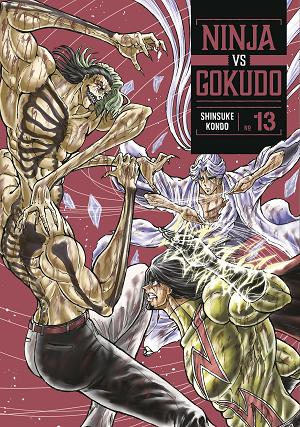 Ninja Vs. Gokudo 13 cover