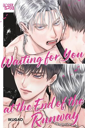 Waiting For You At The End Of The Runway cover