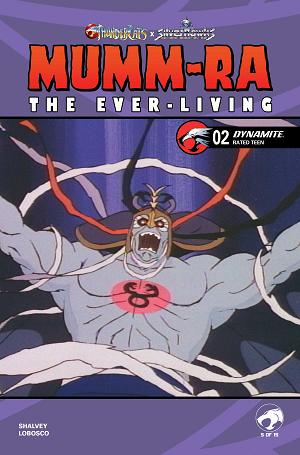 Mumm Ra The Ever Living #2 CVR E CVR E ANIMATION ART cover