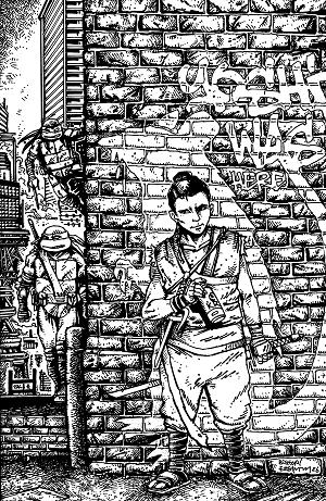 Teenage Mutant Ninja Turtles Cover A (Williams Ii) #18 Variant RI (10) (Eastman & Bishop Full Art) [1:10] cover