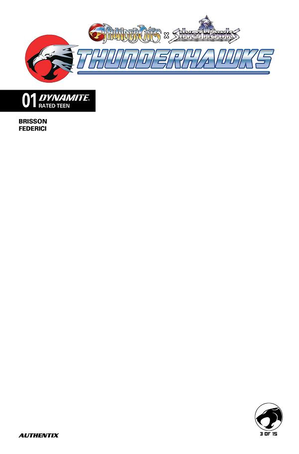Thundercats X Silverhawks Thunderhawks #1 variant cover by Blank